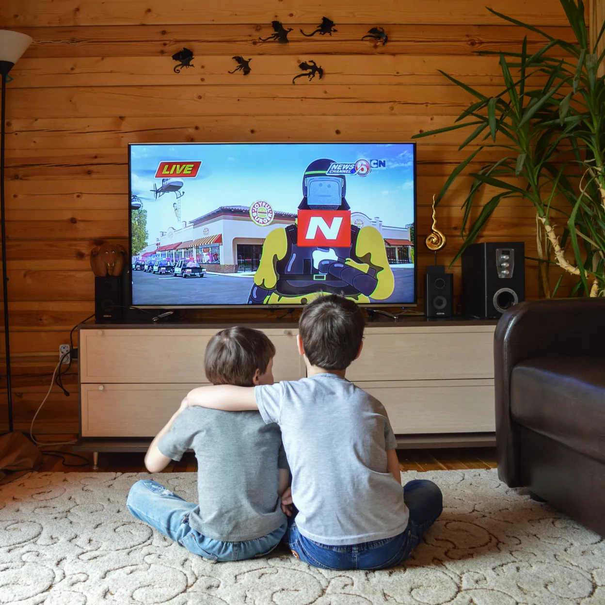 TV Repair Technician
